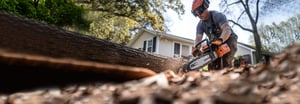 AdobeStock_729125293_bearbeitet_2500x1000px