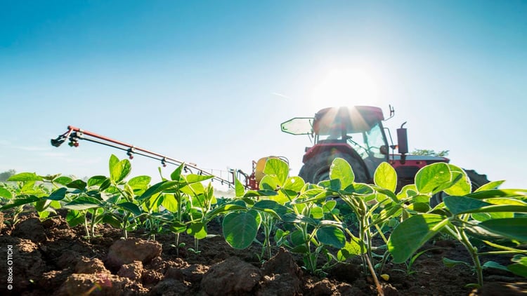 Kriterien für die Auswahl von Aromaten in der Agrarindustrie