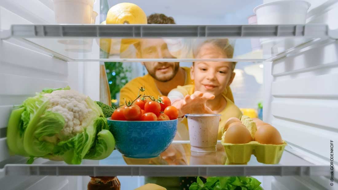  insulation of refrigerators