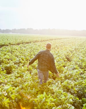 man in cropfield__550x700px-191206