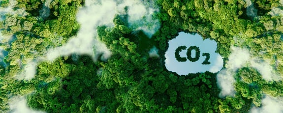 CO2-Reduktion_AdobeStock_457142881_2500x1000px_RZ