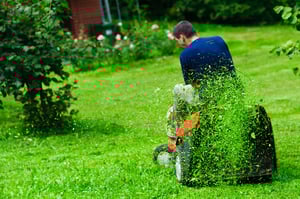 lawn-mower_iStock-152941168_1100x733px_copyright-morozena