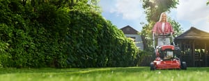 AdobeStock_484713962_bearbeitet_2500px