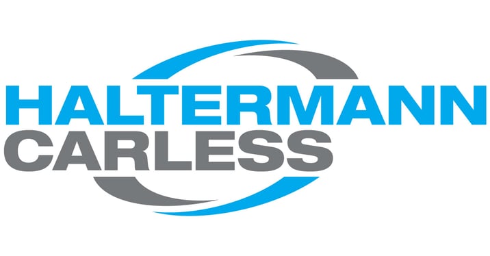 Haltermann Carless drives strategic transformation with key changes