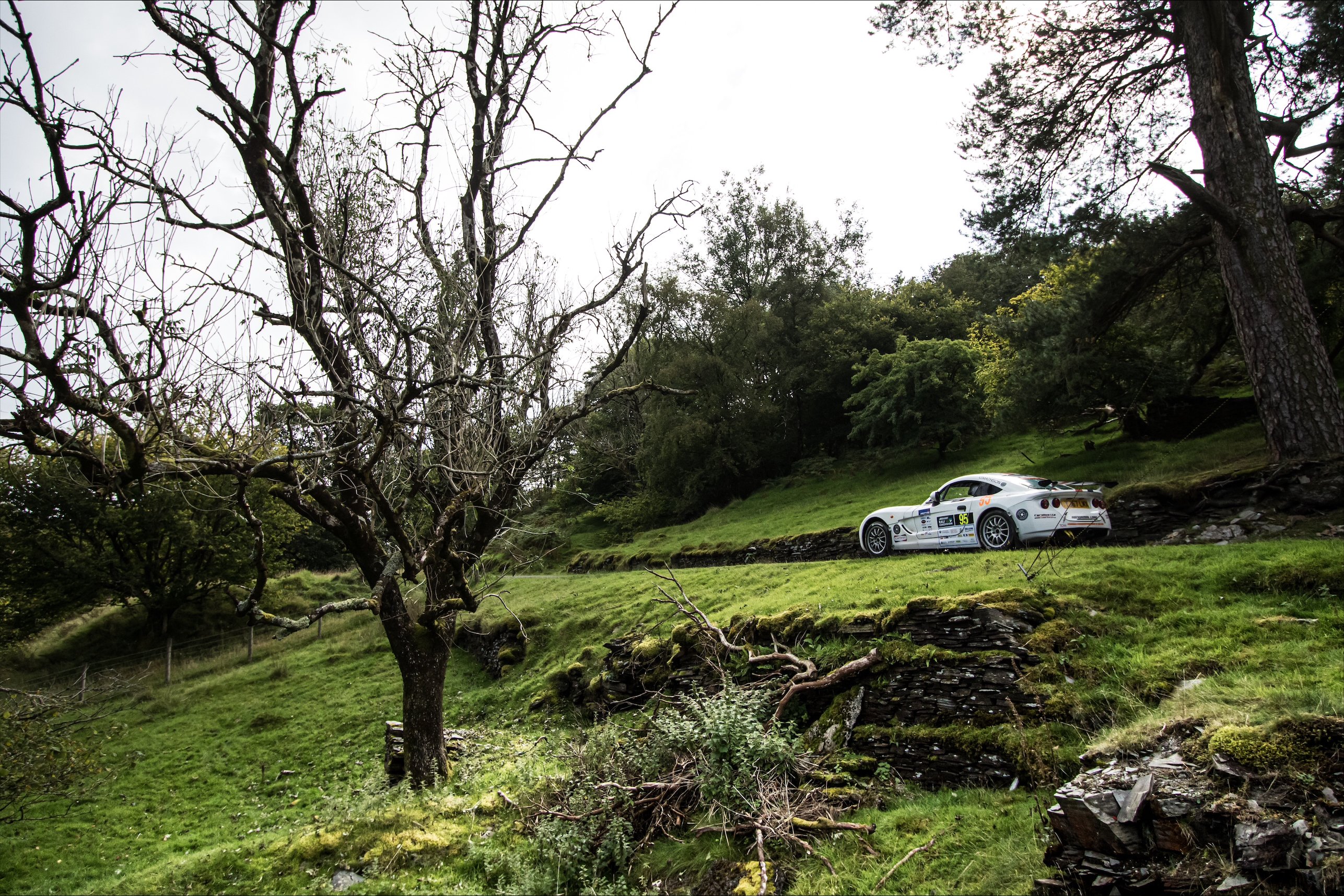 G40 at Rali Ceredigion_copyright Stanislav Kucera Photography