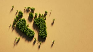 footprint_iStock-1049484094_copyright-MicroStockHub_2300px
