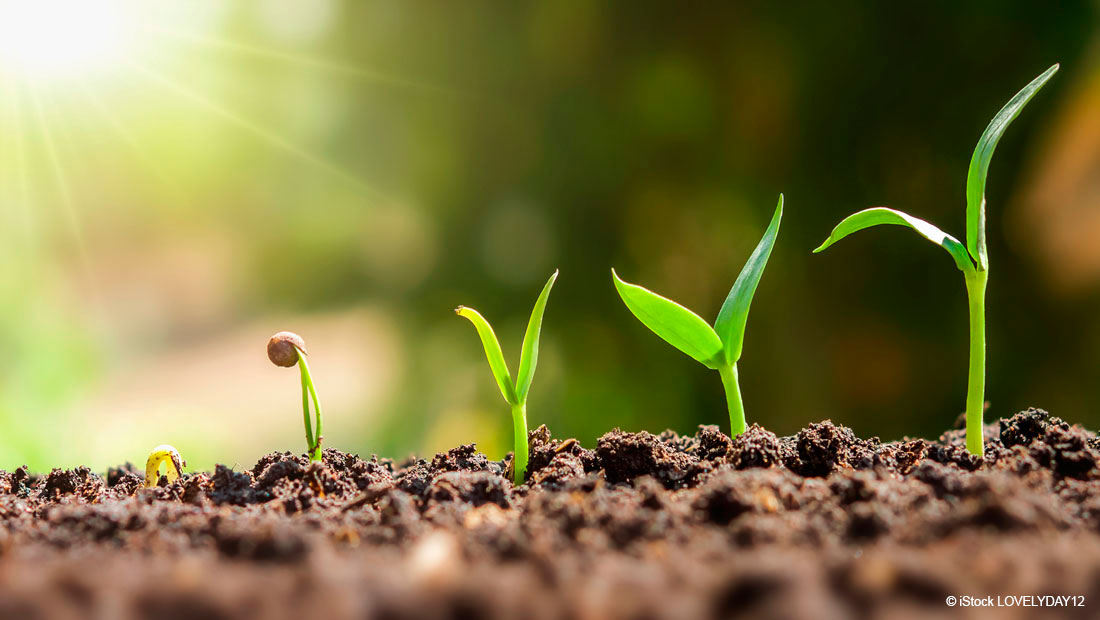 Sustainability assurance in the supply chain through EcoVadis rating