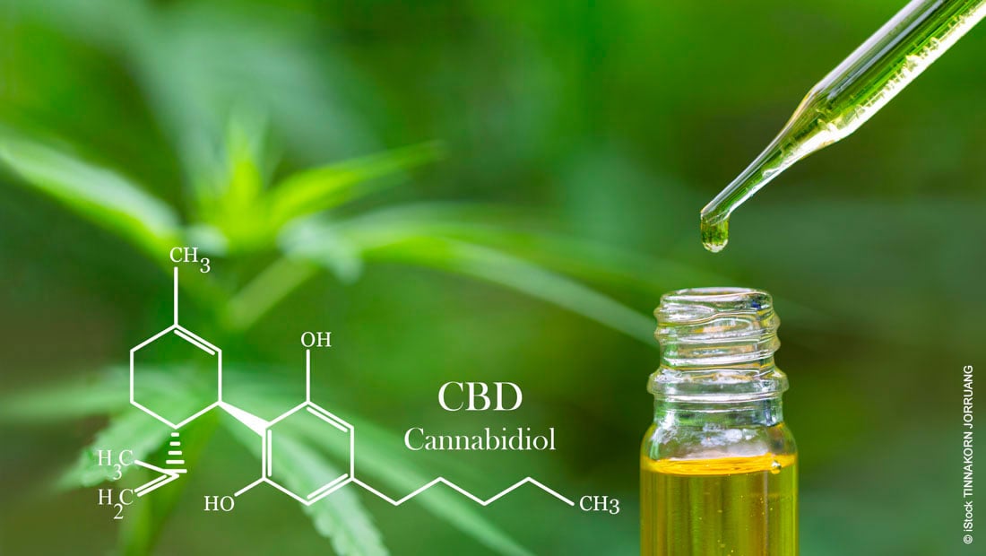 CBD production: How is this natural substance extracted?