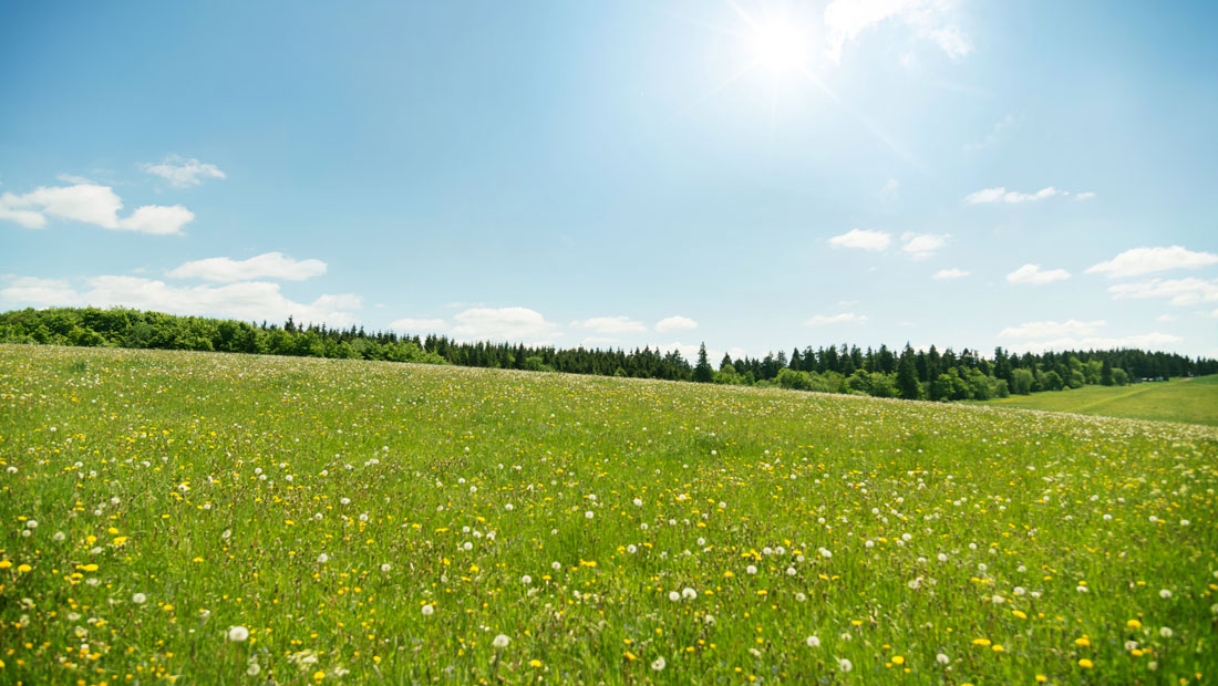 Environmental Protection